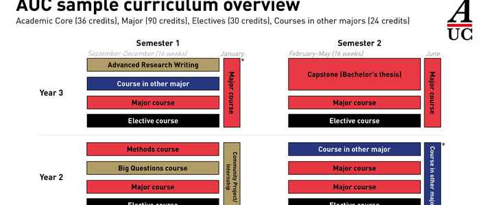 AUC Curriculum Overview