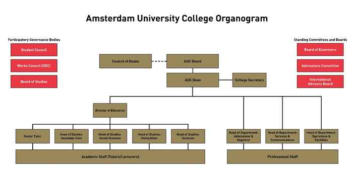 AUC organisational structure diagram showing how the AUC management and lines of reporting are structured