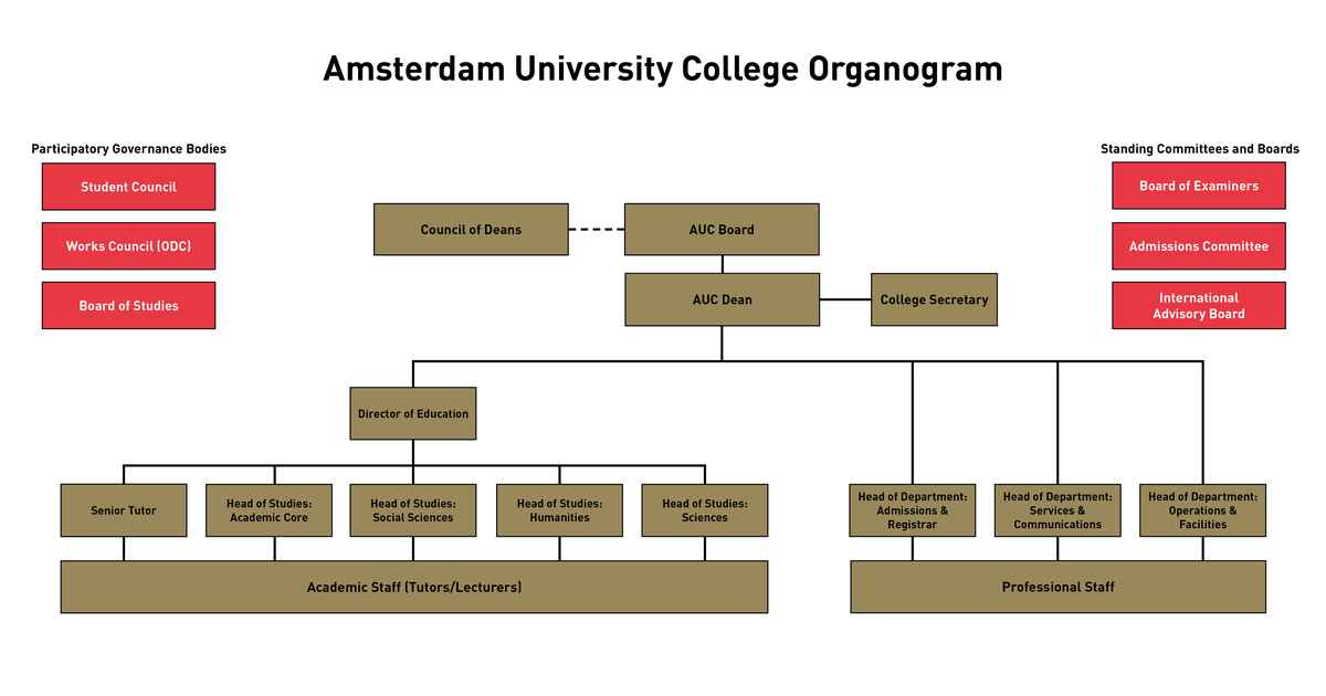 Organisation Amsterdam University College
