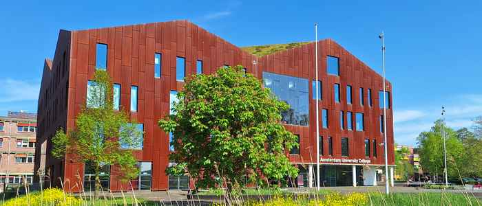 AUC building in summer sun