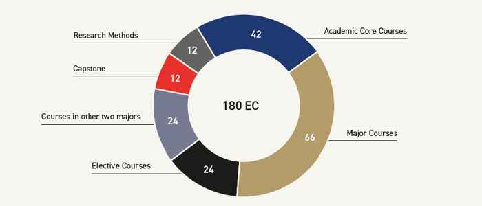 AUC Curriculum Overview