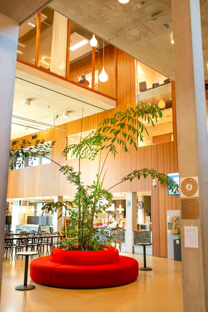 Entryway to the Common Room with tree